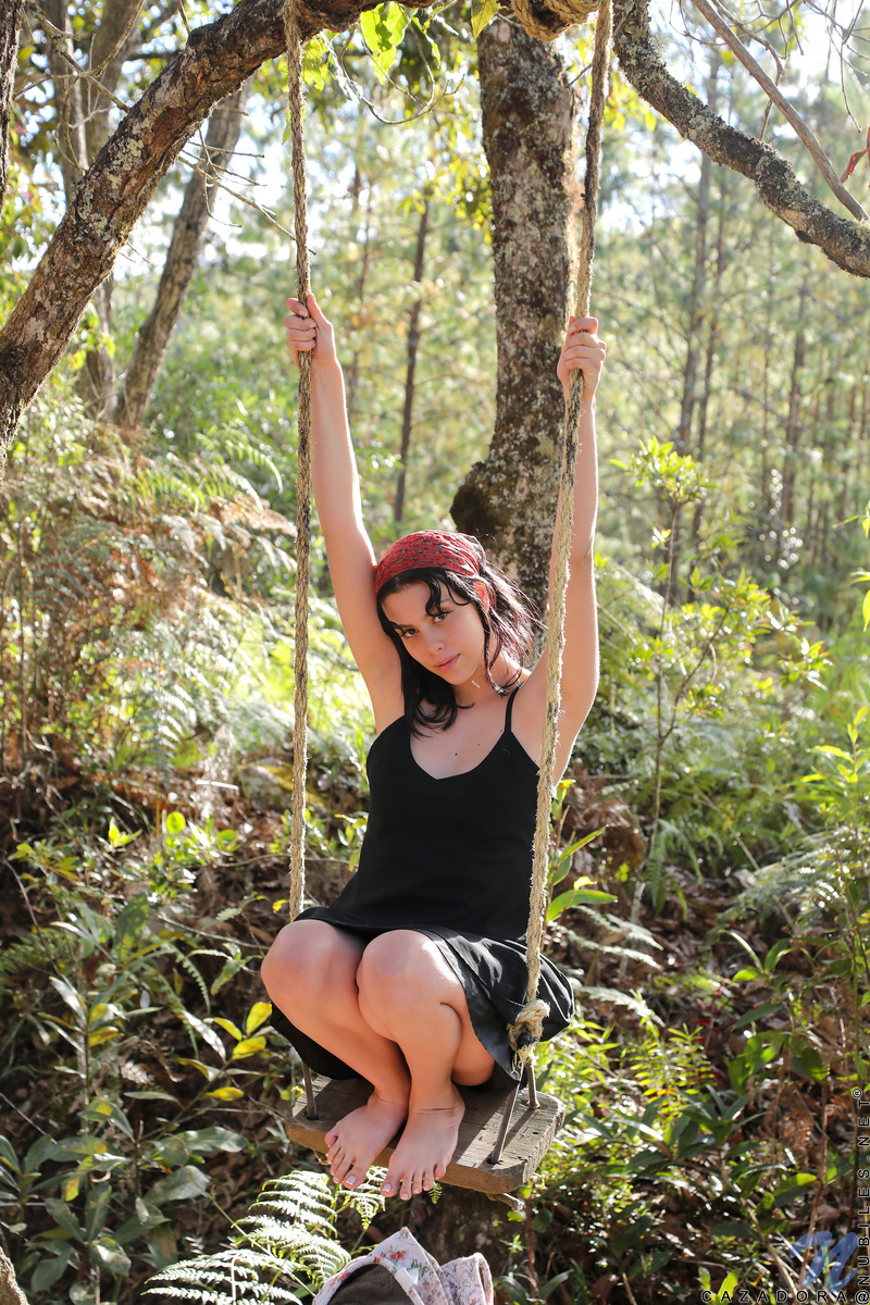 Swing image 1