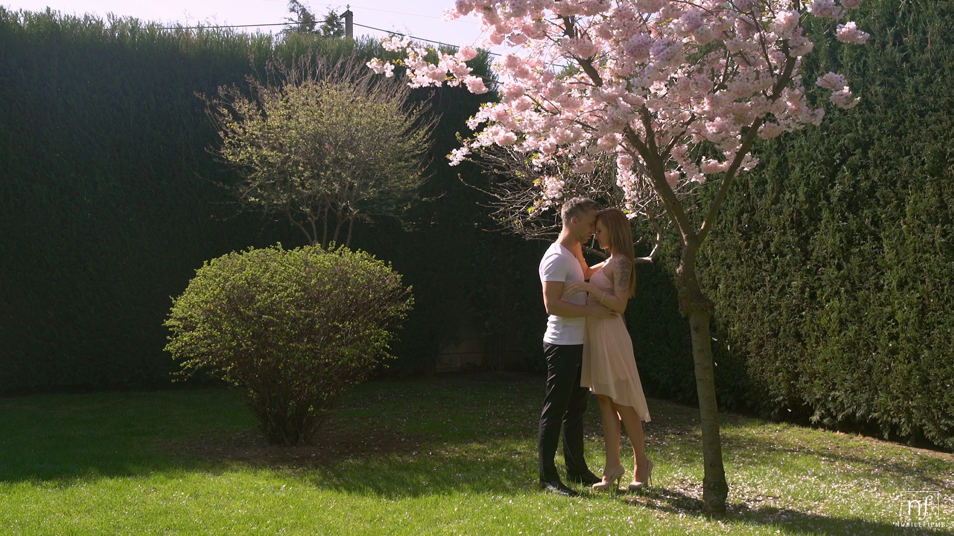 Cream Dream - S23:E25 image 1