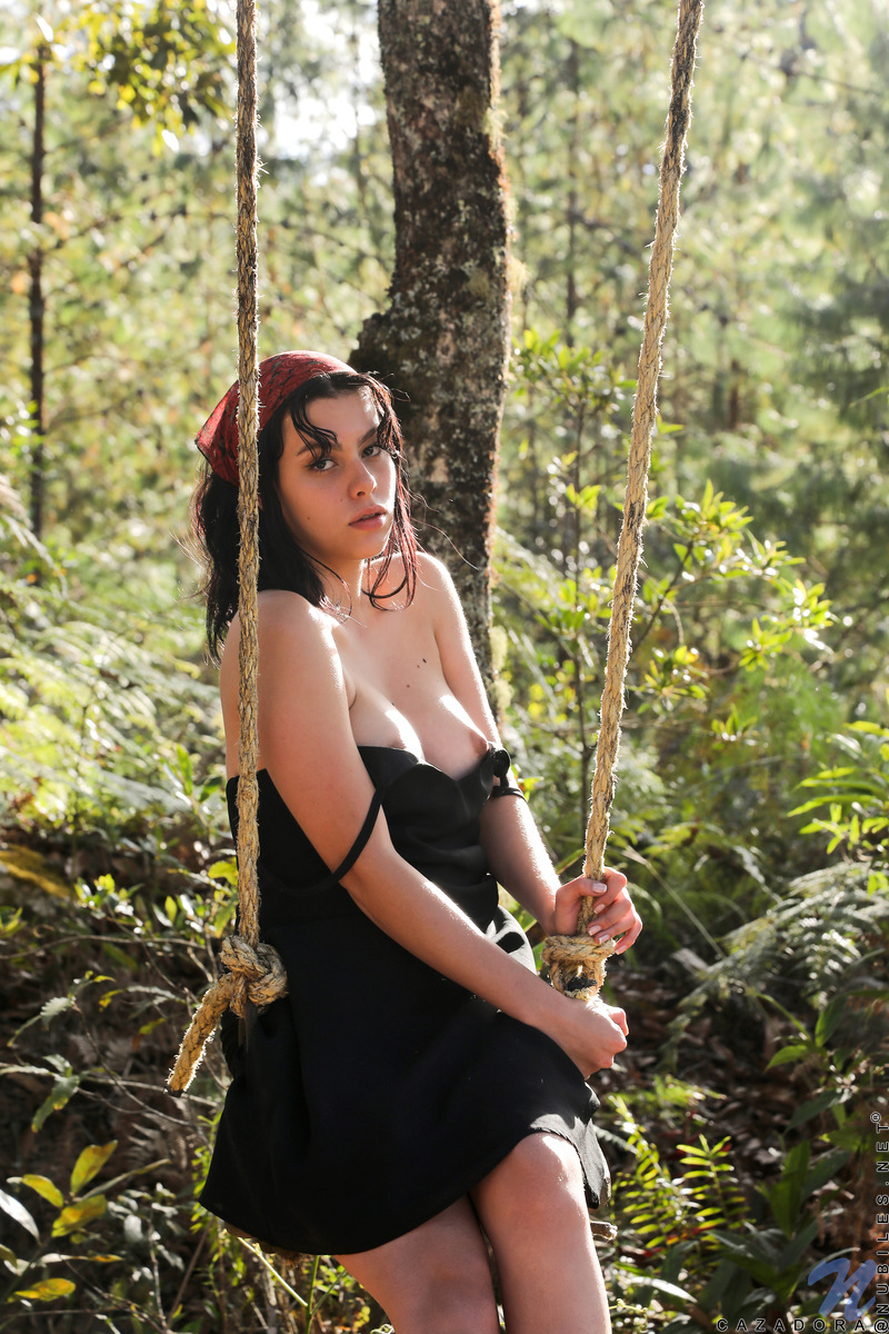 Swing image 3